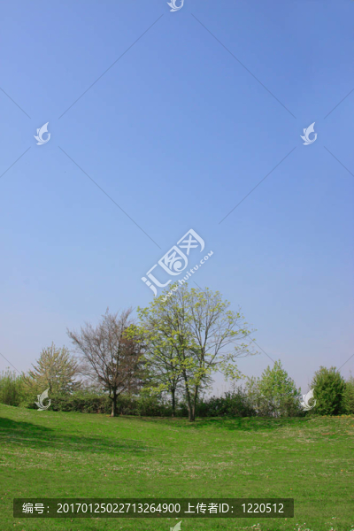 夏天的風(fēng)景