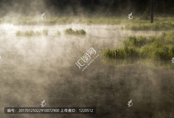 霧蒙蒙的早晨，湖