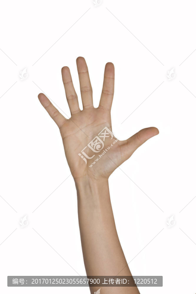 計數(shù)5