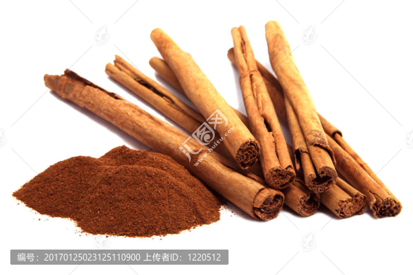 肉桂粉和樹皮在白色上分離