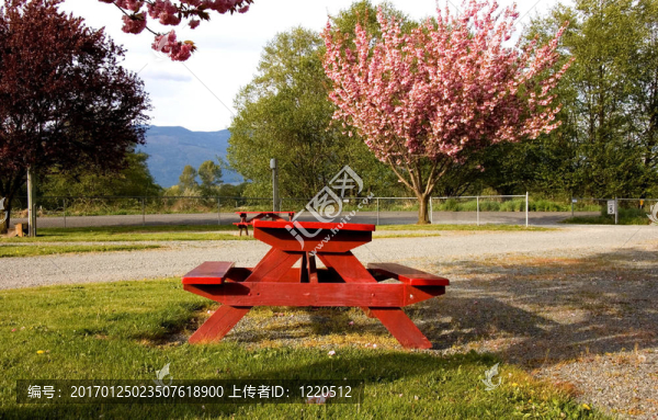 紅picninc表在春天的公園-匯圖網(wǎng) www.fosd68.com 紅picninc表在春天的公園
