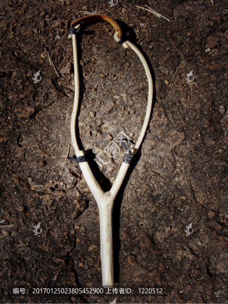 彈弓-匯圖網(wǎng) www.fosd68.com 彈弓