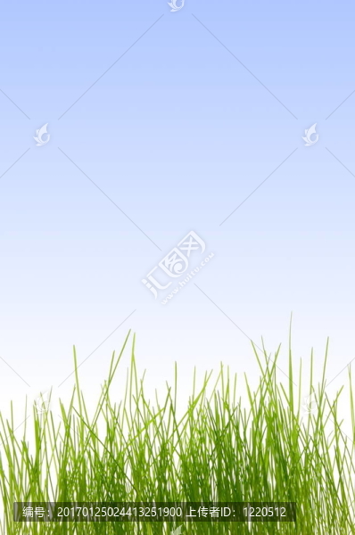 草-匯圖網(wǎng) www.fosd68.com 草