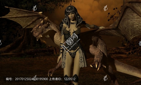 龍