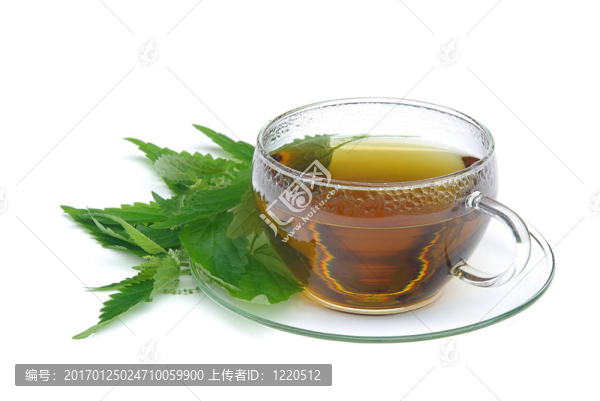 02茶蕁麻