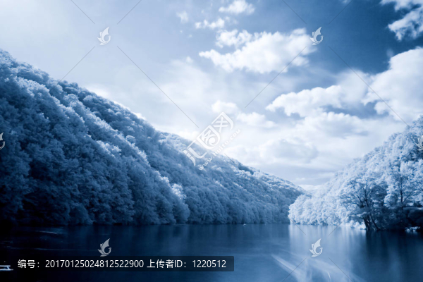 景觀湖泊；森林森林；森林景觀