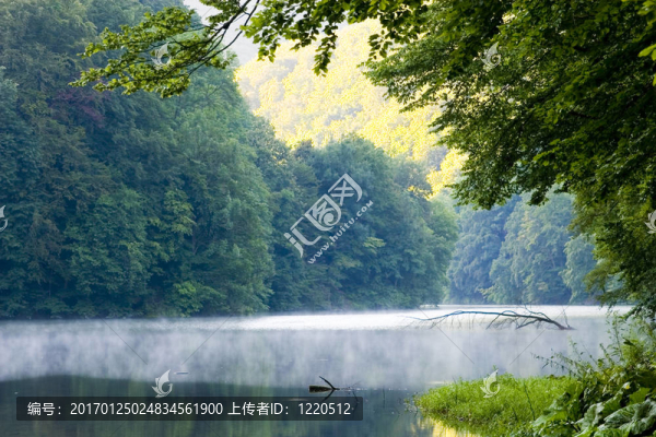 夏天的湖