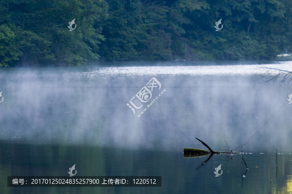 湖的夏天