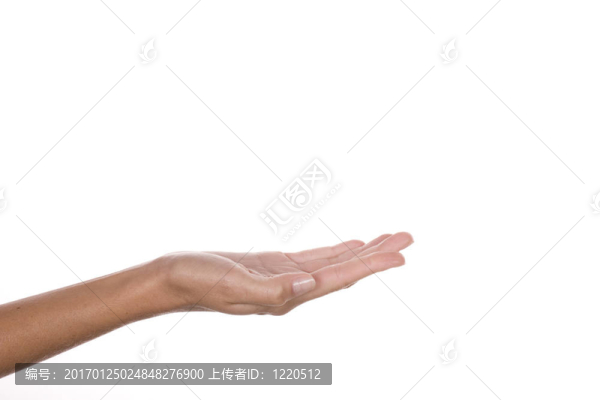女人的手