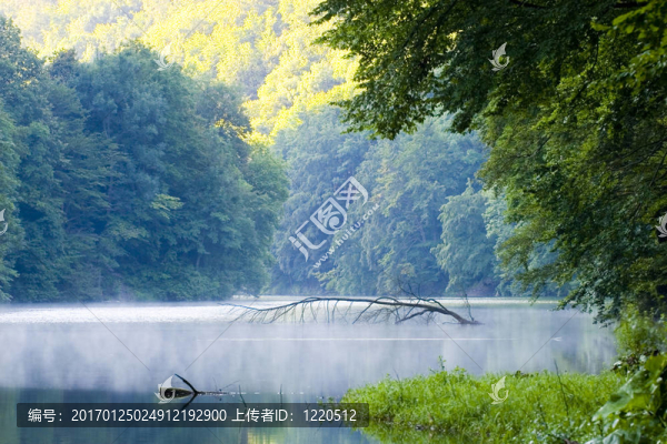 夏天的湖