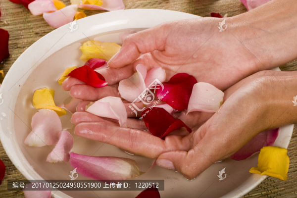 女人的手和玫瑰花瓣