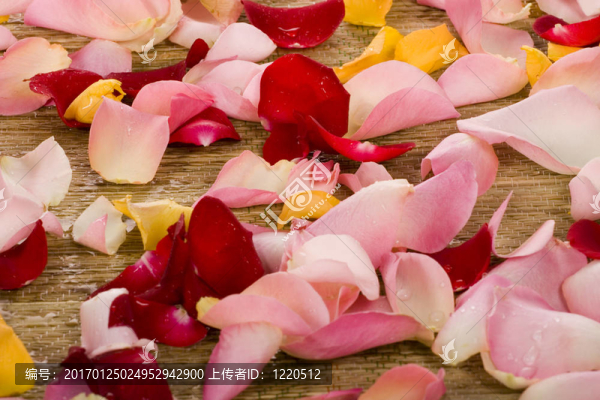 玫瑰花瓣