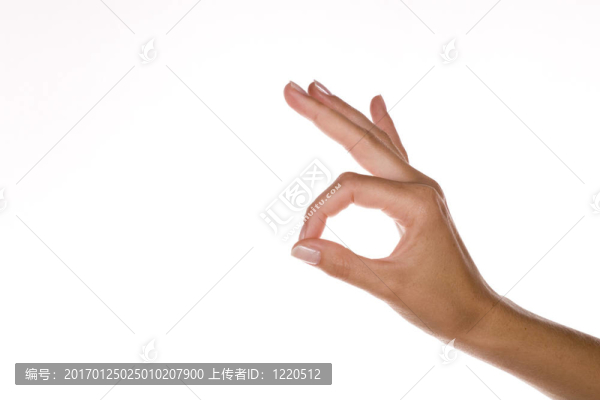 女人的手