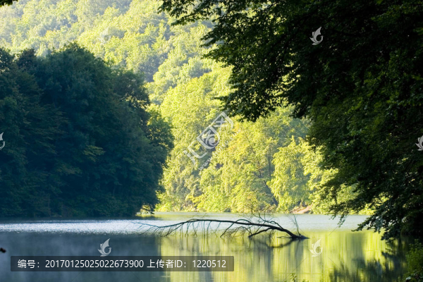 夏天的湖