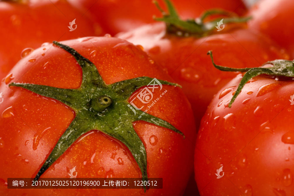 西紅柿