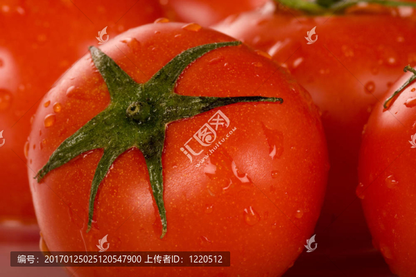 西紅柿