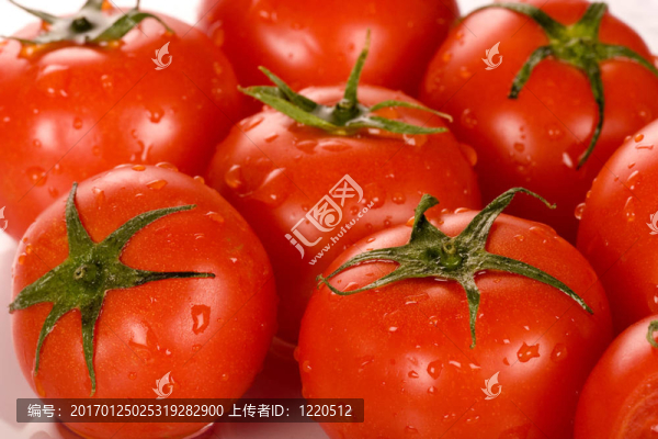 西紅柿
