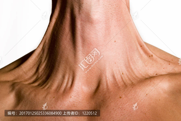 完美的男性身體