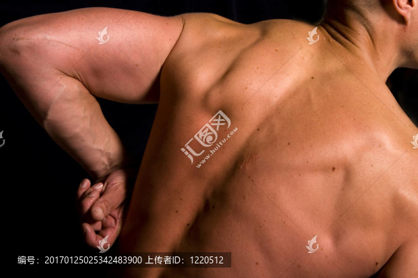 完美的男性身體