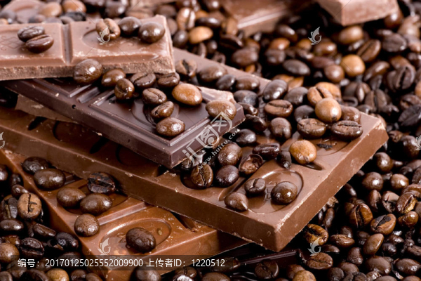 巧克力咖啡背景：一顆豆子的特寫