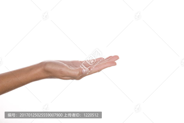 女人的手