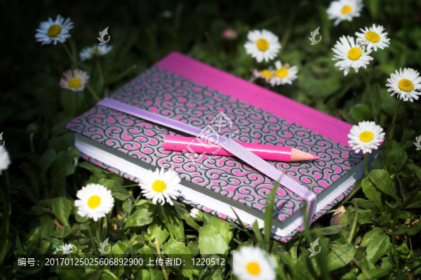 日記-匯圖網(wǎng) www.fosd68.com 日記