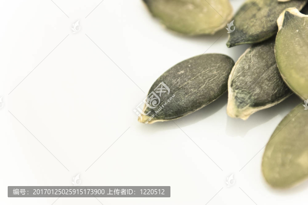 南瓜籽特寫White