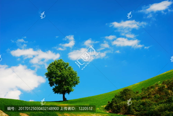 明亮的夏日風(fēng)景