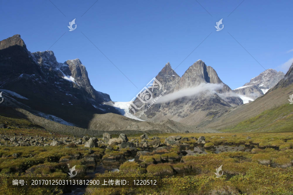 在瑪麗王后達(dá)爾山；格陵蘭島