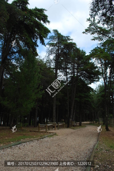 Lisbon的“孟”公園景觀