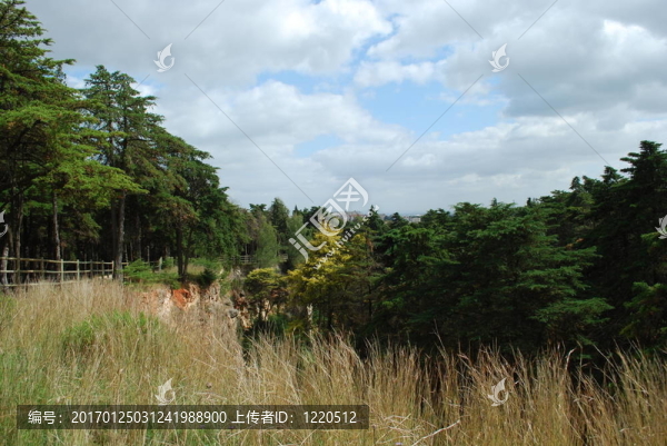Lisbon的“孟”公園景觀