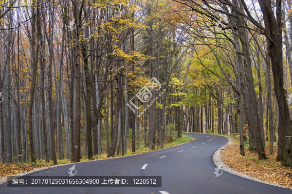 秋天的場(chǎng)景