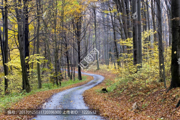 秋天的場(chǎng)景
