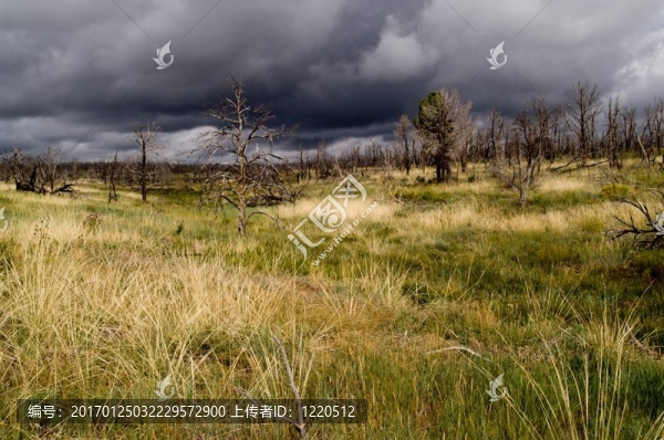 臺面上的風(fēng)暴云