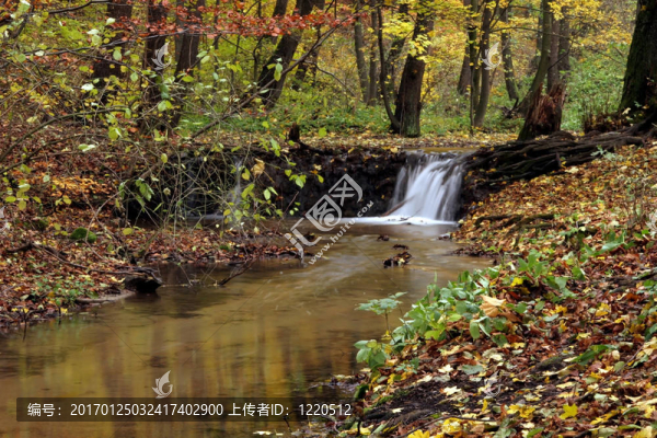 秋天的場景