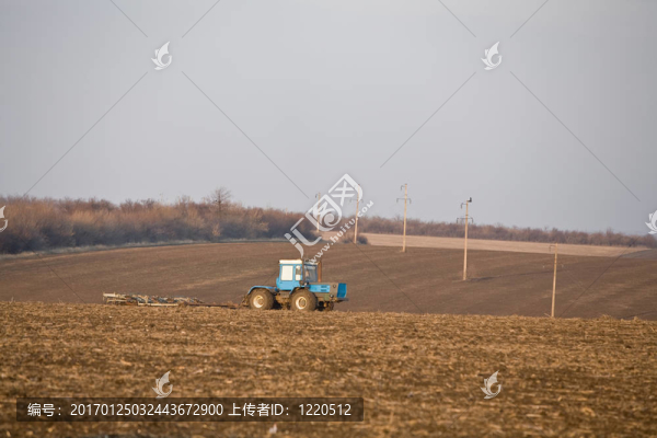 肥沃地