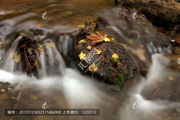秋水