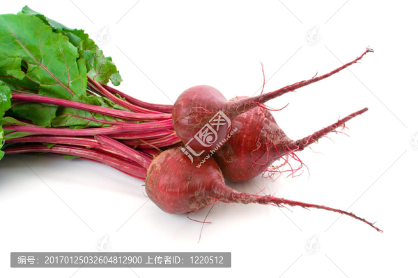 三甜菜根白色