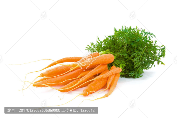 一束白色的嬰兒胡蘿卜