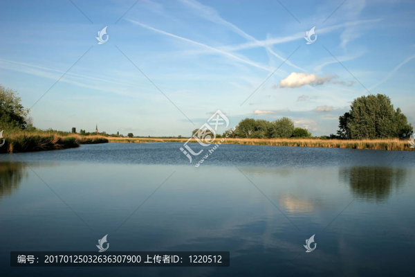 夏季森林湖