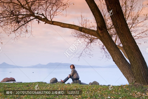 女士坐在樹下休息