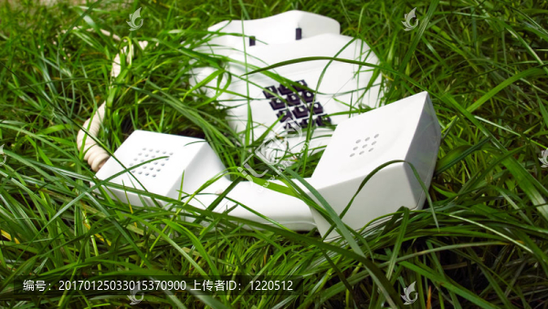 電話在不尋常的地方