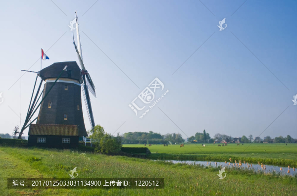 在春天，在荷蘭水車圩
