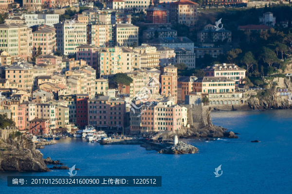 卡莫利；全景2