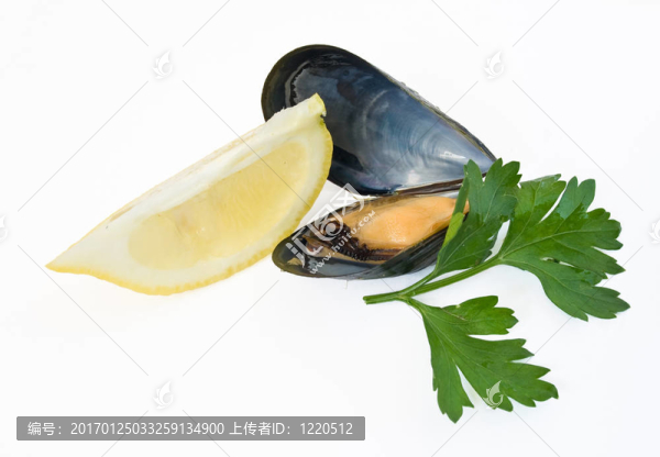 貽貝與檸檬和香菜