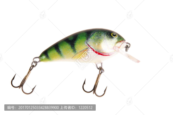 魚餌搖擺