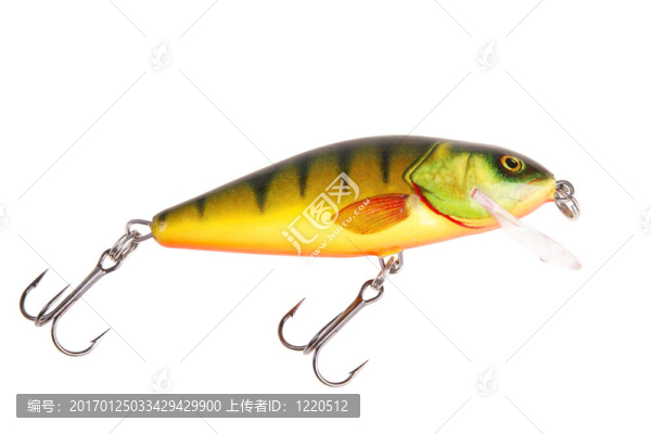 魚(yú)餌搖擺