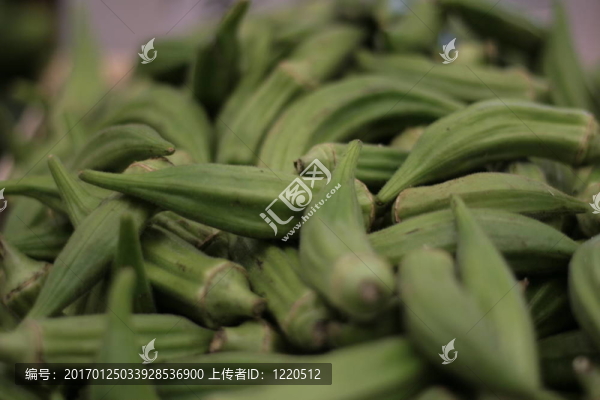 黃秋葵