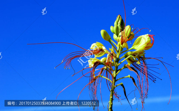 我來(lái)到地球是為了成長(zhǎng)和觀察-匯圖網(wǎng) www.fosd68.com 我來(lái)到地球是為了成長(zhǎng)和觀察