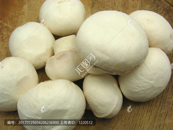 棕色木板上的白色蘑菇